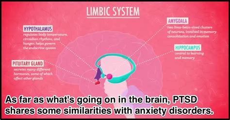 Here's What Happens In Your Brain When You're In .